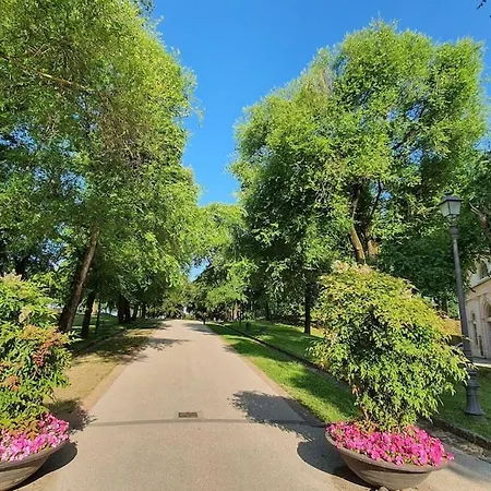 Apartament Il Cervo In Citta Lukka