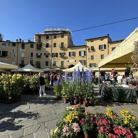 Apartament Il Cervo In Citta Lukka