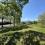 Il Cervo In Citta *