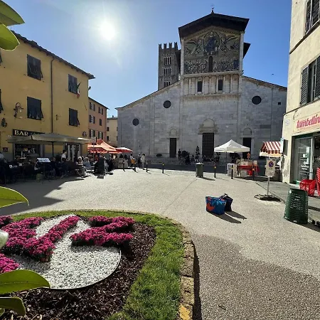 Il Cervo In Citta Lucca